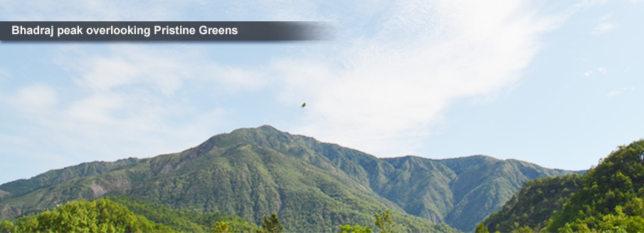 Pristine Greens, Dehradoon